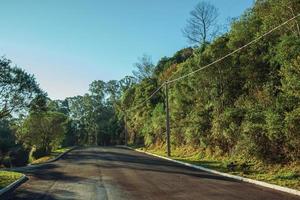 lege geplaveide straat met hoogspanningsmasten tussen weelderige bomen in de buurt van gramado. een schattig stadje met Europese invloeden in Zuid-Brazilië, zeer gewild bij toeristen. foto