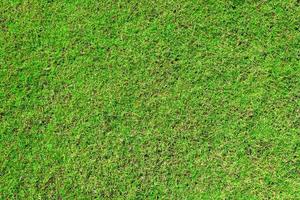 groen gras grond textuur achtergrond in de frisse lente.