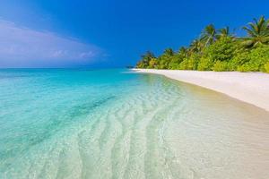 zonnige exotische tropische strand landschap achtergrondbehang. ontwerp zomervakantie vakantie concept. luxe reisbestemming, idyllische natuur schilderachtige palmboombladeren, geweldige natuurlijke omgeving foto