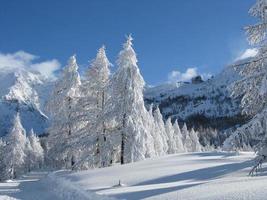 betoverd landschap na hevige sneeuwval foto