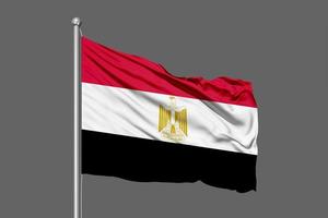 zwaaiende vlag van egypte foto