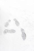 voetafdruk op verse witte sneeuw die in het winterseizoen in het openbare park in Tokio, Japan valt. elegant ontwerp met kopieerruimte om uw tekst of kunstwerk toe te voegen foto