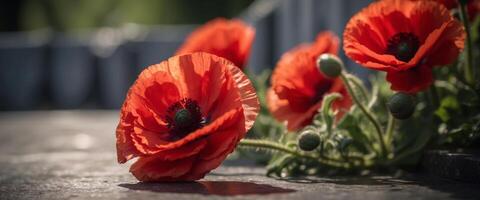 eerbiedigen gedaald heroes dichtbij omhoog van rood papaver Aan een somber oorlog gedenkteken, een oprecht eerbetoon. foto