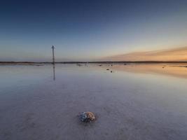 zonsondergang op de roze lagune van de zoutvlakten van torrevieja, spanje foto