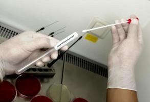 medisch werker met np op-swab-monster voor covid-19 omicron-varianttest, b.1.1.529, rt-pcr dna moleculaire nucleïnezuurdiagnostiek. foto