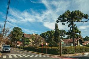 gramado, brazilië - 21 juli 2019. tuinhuizen en bomen op lege geplaveide straat met geparkeerde auto's op een zonnige dag in gramado. een schattig stadje met Europese invloeden, zeer gewild bij toeristen. foto