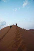 mensen in een rij die op duin 45 in namibwoestijn lopen. Namibië foto