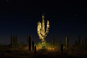 cactus versierd met kerstverlichting foto