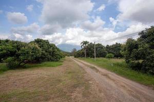 onverharde weg in longan tuin foto