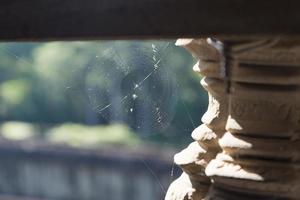 web in de buurt van de kolom. foto