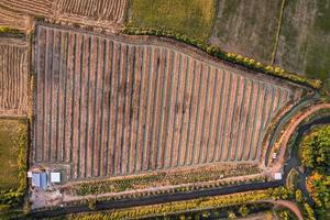 bovenaanzicht groef van plantage op landbouwgrond foto