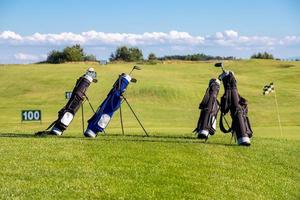 golfclubs in tassen die op een zonnige dag op de golfbaan liggen foto