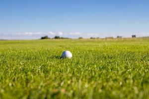 golfbal liggend op een golfbaan in het gras op een zonnige dag golf concept. plaats voor tekst foto