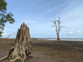 prachtige foto's van het landschap aan de kust van ambalat, oost kalimantan, indonesië foto