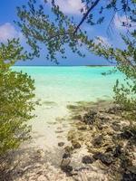 natuurlijke tropische turquoise zandbank eilanden madivaru finolhu rasdhoo atol maldiven.