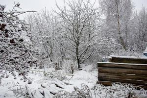 platteland in de sneeuw. pittoresk besneeuwd winterlandschap. sneeuw op bomen en struiken.