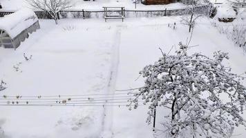 moestuin in de winter. serre in de sneeuw. pittoresk besneeuwd winterlandschap. foto