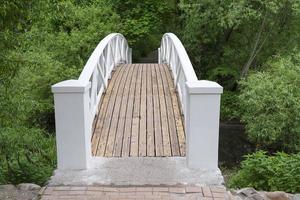 ronde houten brug over de rivier. foto