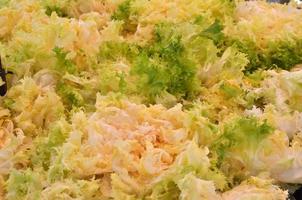 andijvie cichorium endivia salade groenten foto