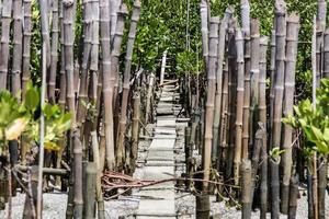 loopbrug naar het strand in thailand beach, een tweede golf van anti-bamboe foto