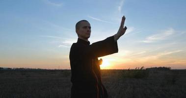 silhouet van jonge mannelijke kungfu-jager die alleen in de velden oefent tijdens zonsondergang