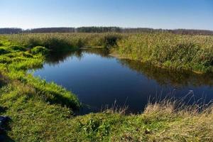 zomer rivierlandschap foto