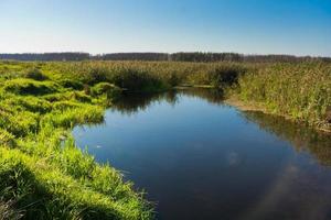 zomer rivierlandschap foto