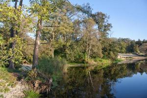 zomer rivierlandschap foto