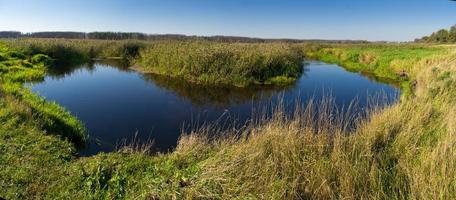 zomer rivierlandschap foto