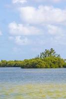 panorama landschapsmening holbox eiland natuur strand turquoise water mexico. foto