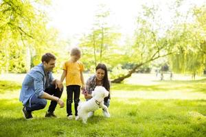 mooie gelukkige familie heeft plezier met bichon-hond buitenshuis