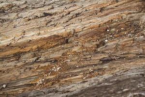 steen textuur van golven eroderen, natuur achtergrond. bovenaanzicht. ruimte kopiëren. kan gebruiken als banner foto