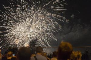 vuurwerk in de nachtelijke hemel op een vakantie. foto