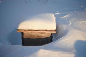 houten kisten voor bloemen onder de sneeuw in de winter foto