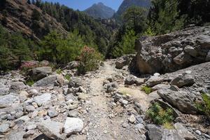 trekking in de samaria-kloof op het eiland kreta, griekenland. foto