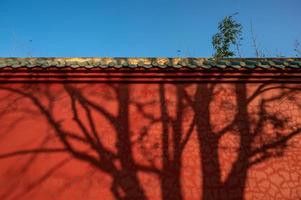 de zon wierp de schaduw van de boom op de rode muur, een tempel bij mooi weer. foto