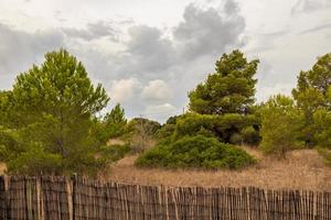 verlaten natuurtuin met hek op het eiland mallorca. foto
