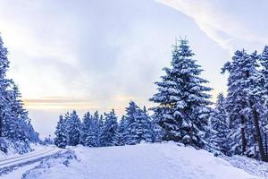 besneeuwd in ijzige sparren landschap brocken berg harz duitsland foto