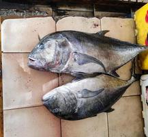 verschillende soorten zeevis die op traditionele markten worden verkocht foto