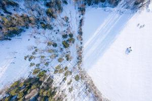 fantastische luchtfoto winterpanorama van bergbos met besneeuwde sparren. kleurrijke buitenscène, gelukkig nieuwjaar viering concept. schoonheid van de natuur concept achtergrond. foto