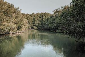 prachtige natuurlijke landschap rivier in mangrovebossen en bergen in de provincie phang nga thailand