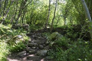 Geiranger is een klein toeristisch dorp in de regio Sunnmore in Noorwegen. foto