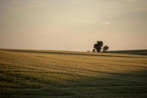 prairie onweerswolken canada foto