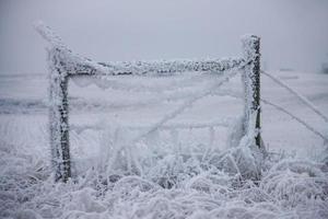 winter vorst saskatchewan foto