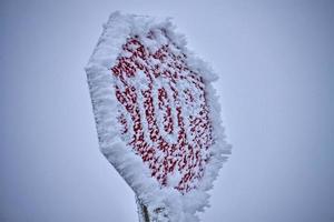 winter vorst saskatchewan foto