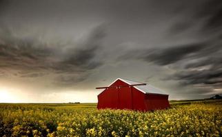 prairie onweerswolken foto