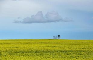 prairie onweerswolken canada foto