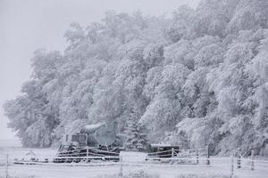 winter vorst saskatchewan foto