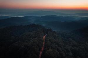 vroege ochtendzonsopgang in het bos foto