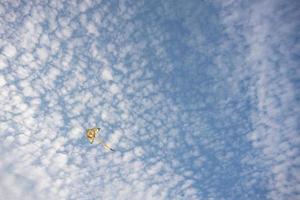 vlieger met gele leeuw schilderij met blauwe luchten en witte wolken op de achtergrond. foto
